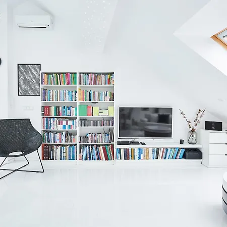 Unique Design Loft In Middle Of Centre Of Old Town With Netflix アパート クラクフ