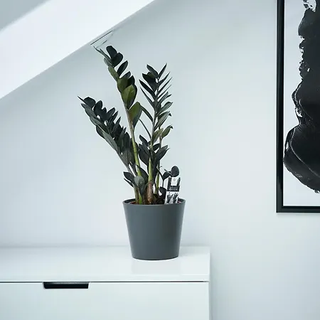 Apartment Unique Design Loft In Middle Of Centre Of Old Town With Netflix