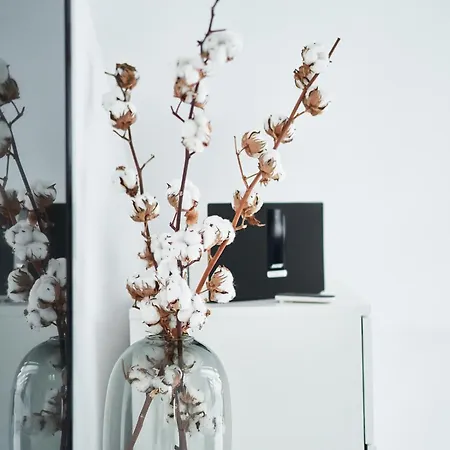 Unique Design Loft In Middle Of Centre Of Old Town With Netflix